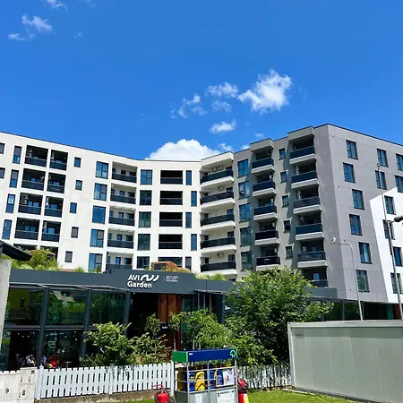 Aviatorii Modern Escape